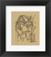 Orchid on Khaki(WG) I Fine Art Print