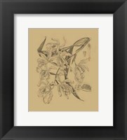 Orchid on Khaki(WG) II Fine Art Print