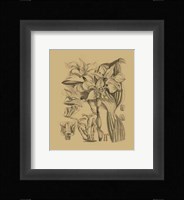 Orchid on Khaki(WG) V Fine Art Print