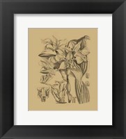 Orchid on Khaki(WG) V Fine Art Print