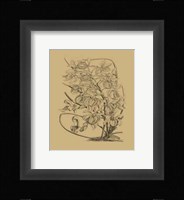 Orchid on Khaki(WG) VI Fine Art Print