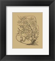 Orchid on Khaki(WG) VI Fine Art Print