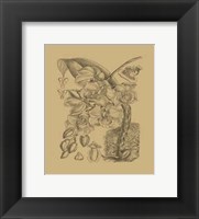 Orchid on Khaki(WG) VIII Fine Art Print