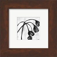 Mini Swooning Tulips I (NA) Fine Art Print