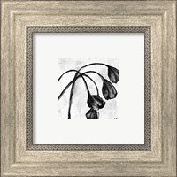 Mini Swooning Tulips I (NA) Fine Art Print