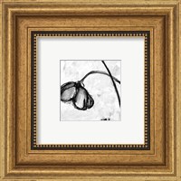 Mini Swooning Tulips II (NA) Fine Art Print