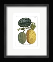 Antique Melons I Framed Print