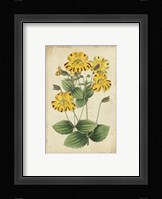 Curtis Blooms in Yellow I Fine Art Print