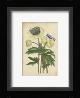 Curtis Blooms in White III Fine Art Print