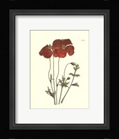 Fiery Florals II Fine Art Print