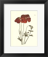 Fiery Florals II Fine Art Print