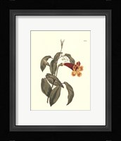 Fiery Florals III Fine Art Print