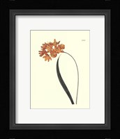 Fiery Florals IV Fine Art Print