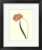 Fiery Florals IV Fine Art Print