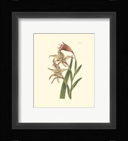 Floral I Fine Art Print