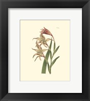 Floral I Fine Art Print
