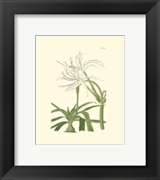 Floral III Fine Art Print