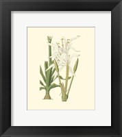 Floral IV Fine Art Print