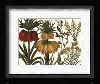 Printed Arena Botanical I Fine Art Print
