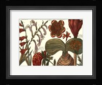 Printed Arena Botanical II Fine Art Print