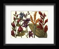 Printed Arena Botanical III Fine Art Print
