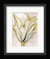 Fluid Beauty II Fine Art Print
