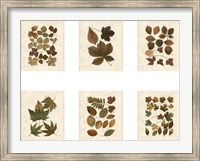 Lodge Leaf Collection Giclee