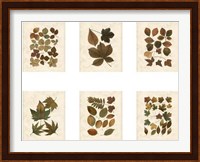 Lodge Leaf Collection Giclee
