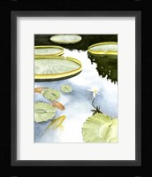 Koi Reflection I Fine Art Print