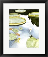 Koi Reflection I Fine Art Print