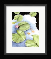 Koi Reflection II Fine Art Print