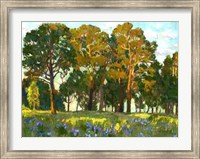 Sunset in the Forest Giclee