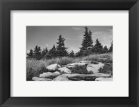 Rocky Green Fine Art Print