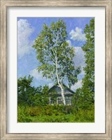 Birch Tree Near Dwelling Giclee