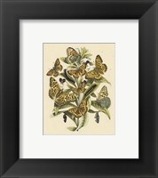 Natures Delicate Gathering I Giclee
