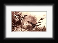Ducks Framed Print