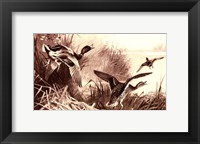 Ducks Fine Art Print