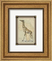 Giraffe with Border I Fine Art Print