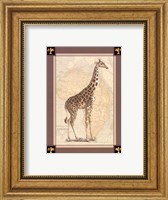 Giraffe with Border II Fine Art Print
