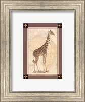 Giraffe with Border II Fine Art Print