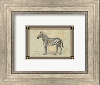 Zebra with Border I Fine Art Print