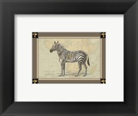 Zebra with Border I Fine Art Print