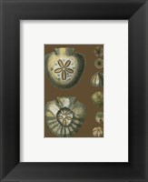 Shells on Cocoa II Fine Art Print