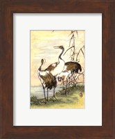 Oriental Cranes I Fine Art Print