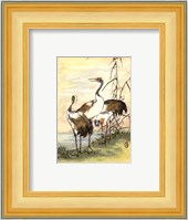 Oriental Cranes I Fine Art Print