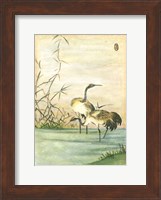 Oriental Cranes II Fine Art Print