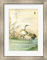 Oriental Cranes II Fine Art Print