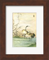 Oriental Cranes II Fine Art Print