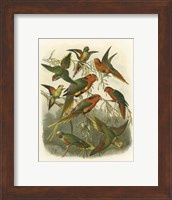 Red Cassel Birds I Fine Art Print