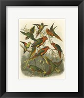 Red Cassel Birds I Fine Art Print